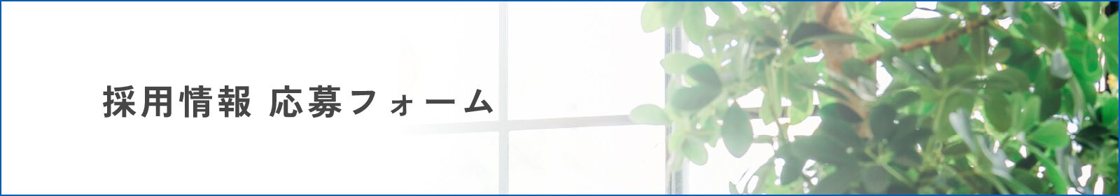 採用情報 応募フォーム